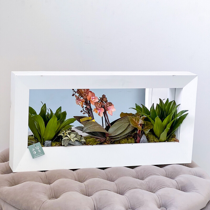 Mirrored Frame Planters