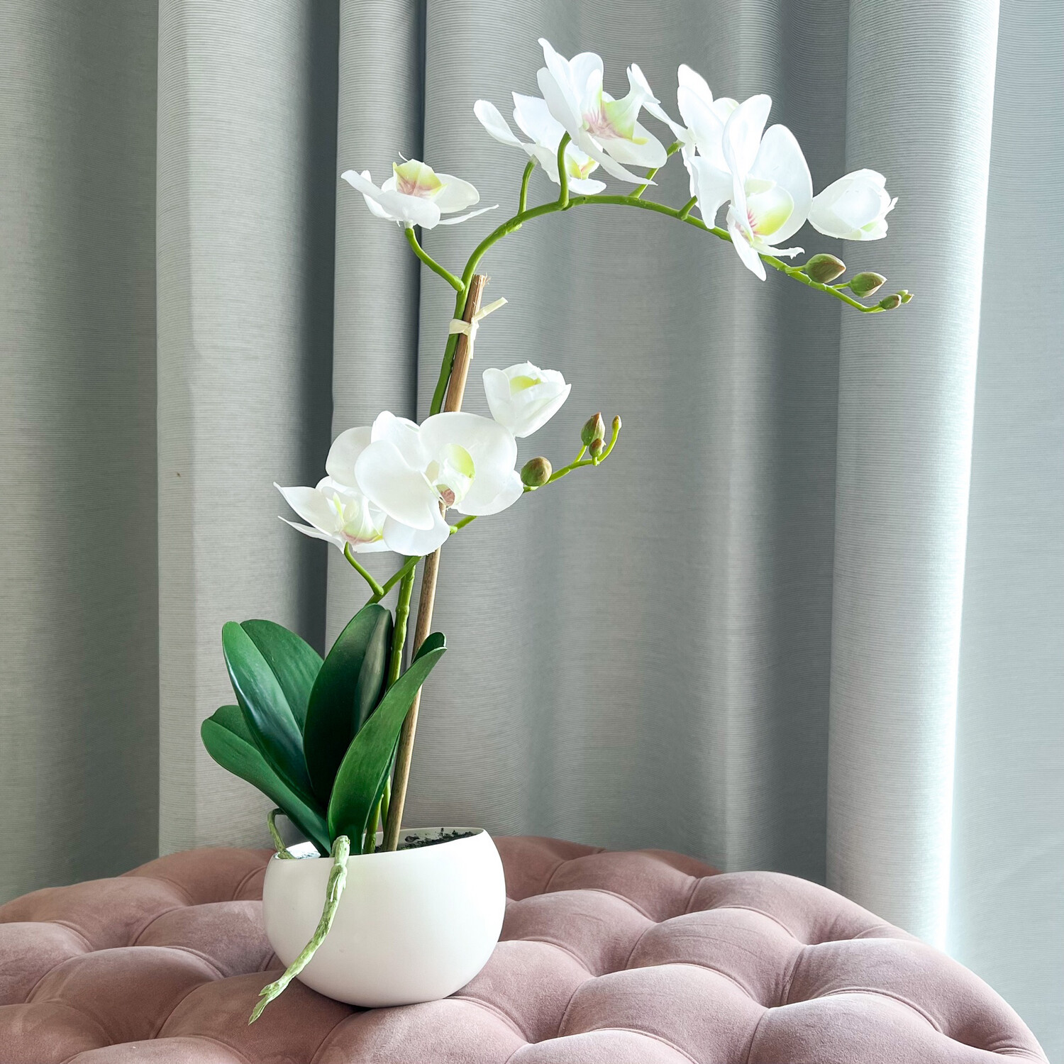 White Orchid In White Pot (Artificial)