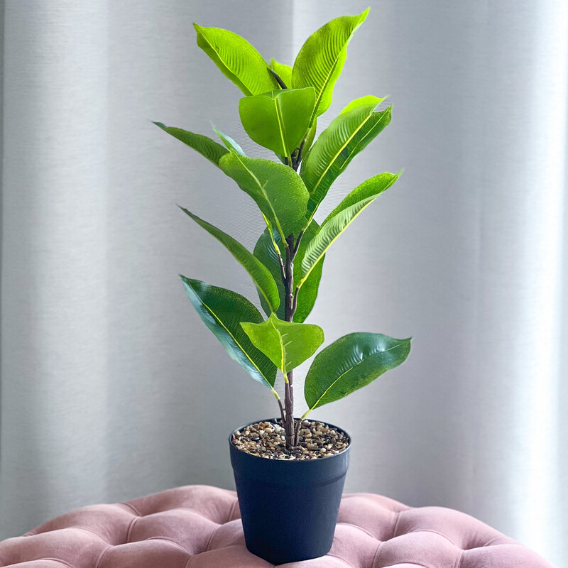 Ficus (Artificial)