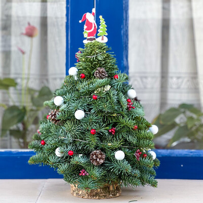 Oh Jolly Christmas Tree