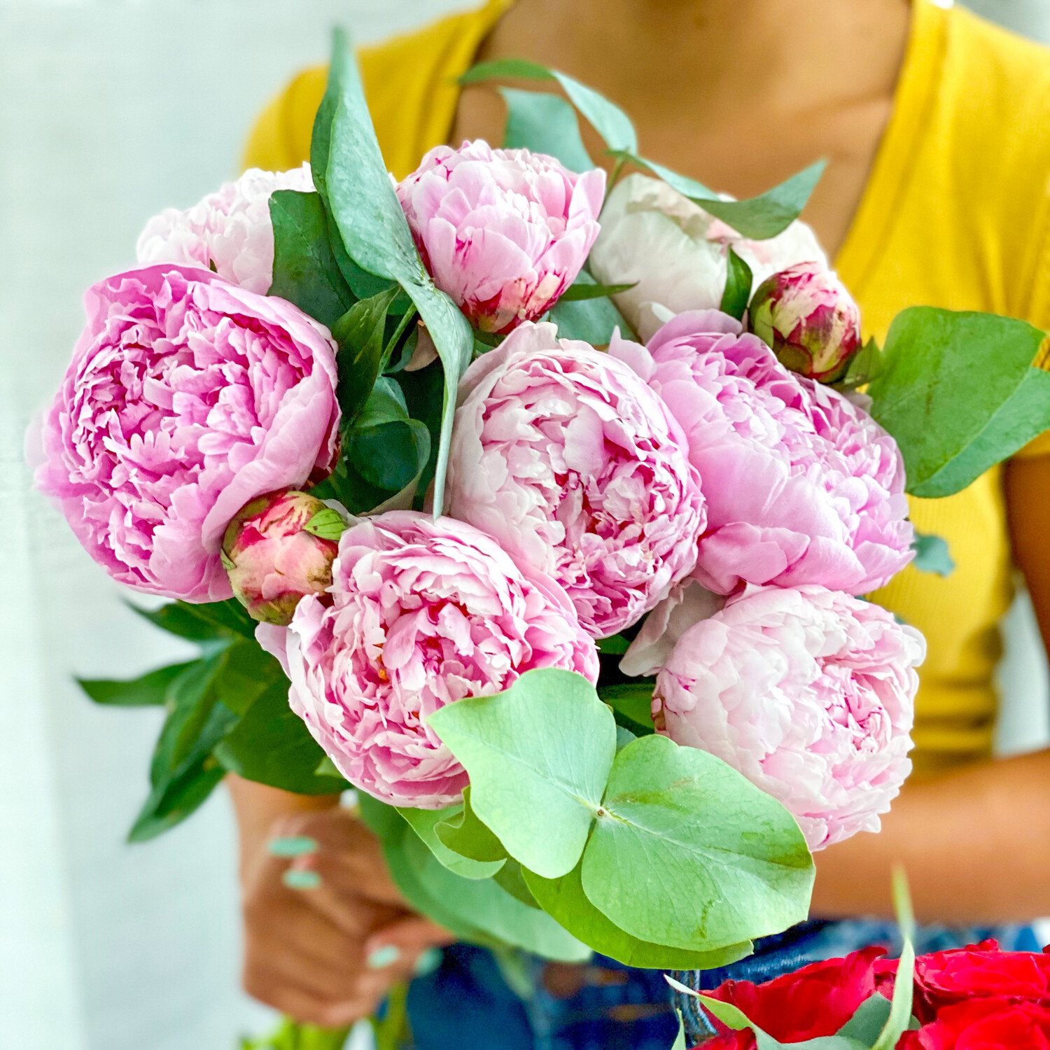 Peonies