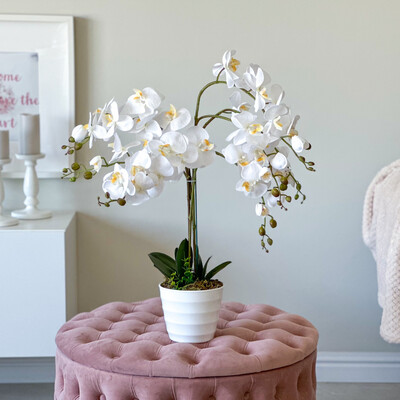 Majestic Orchid (Artificial)