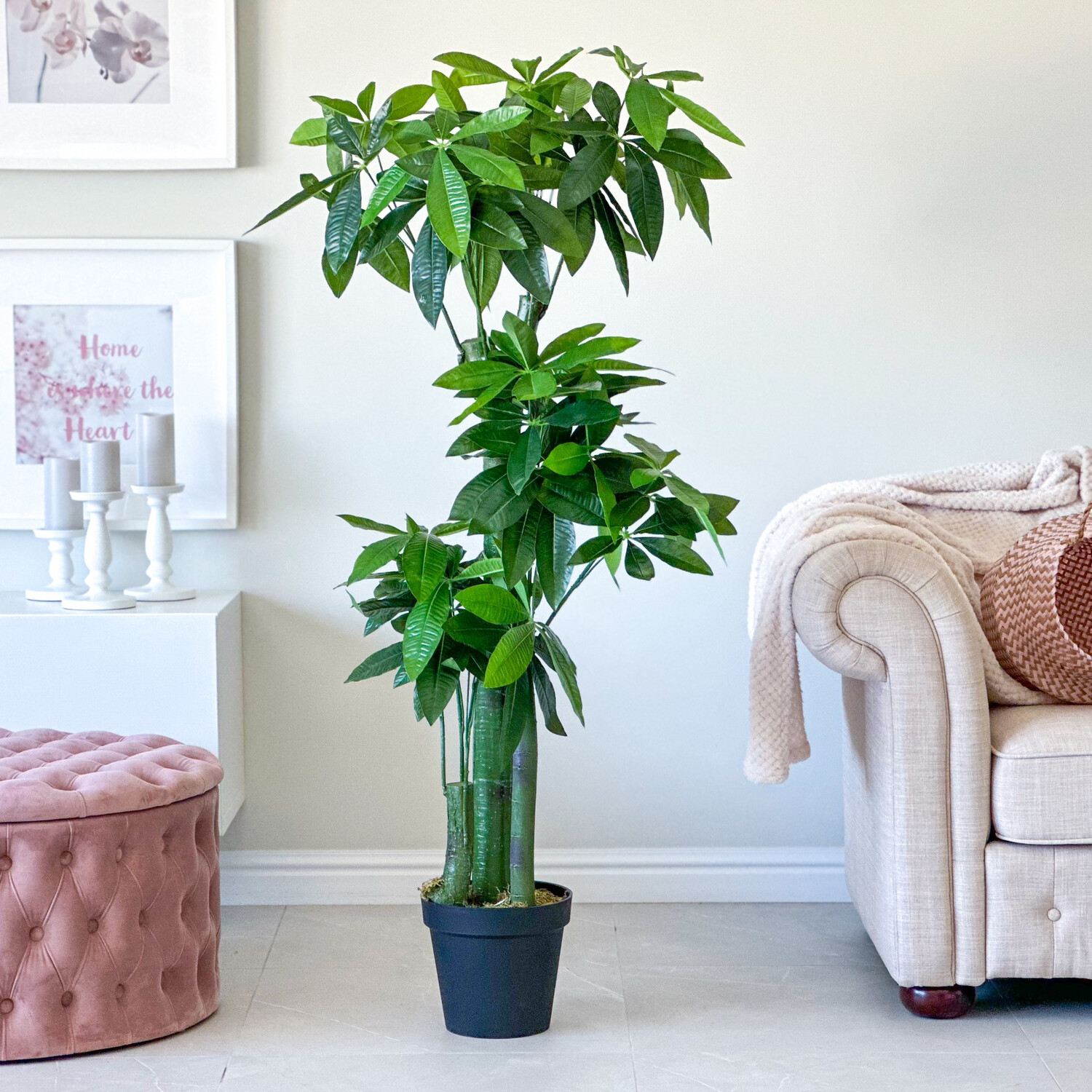 Money Plant (Artificial)