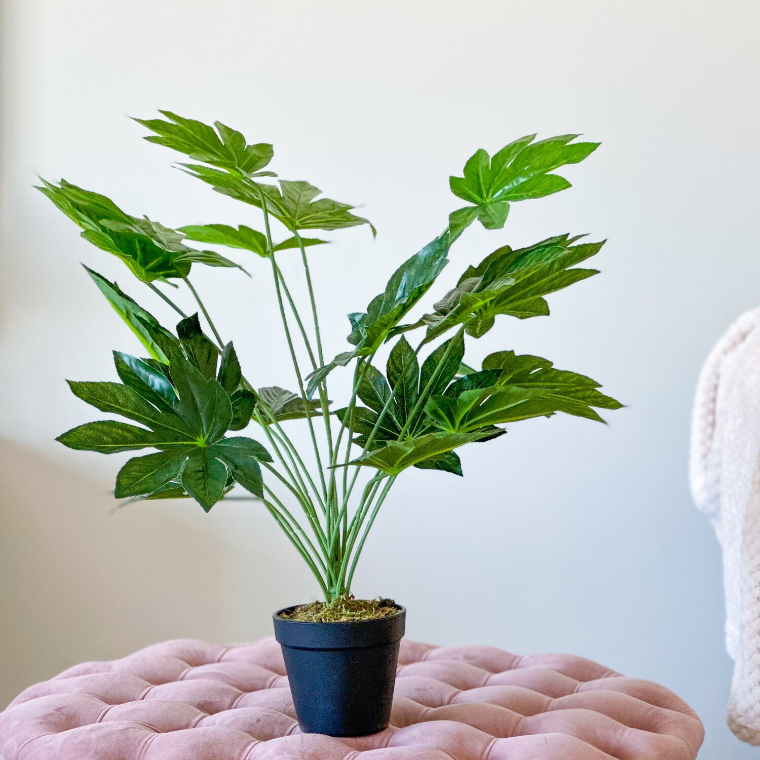 Castor Oil Plant (Artificial)