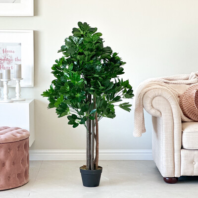 Schefflera (Artificial)