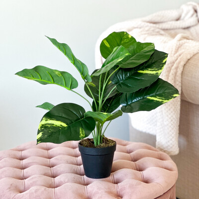 Satin Pothos (Artificial)