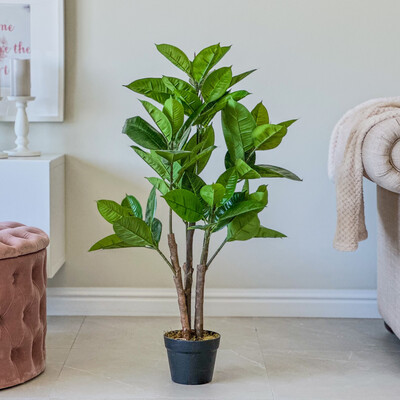 Rubber Plant (Artificial)
