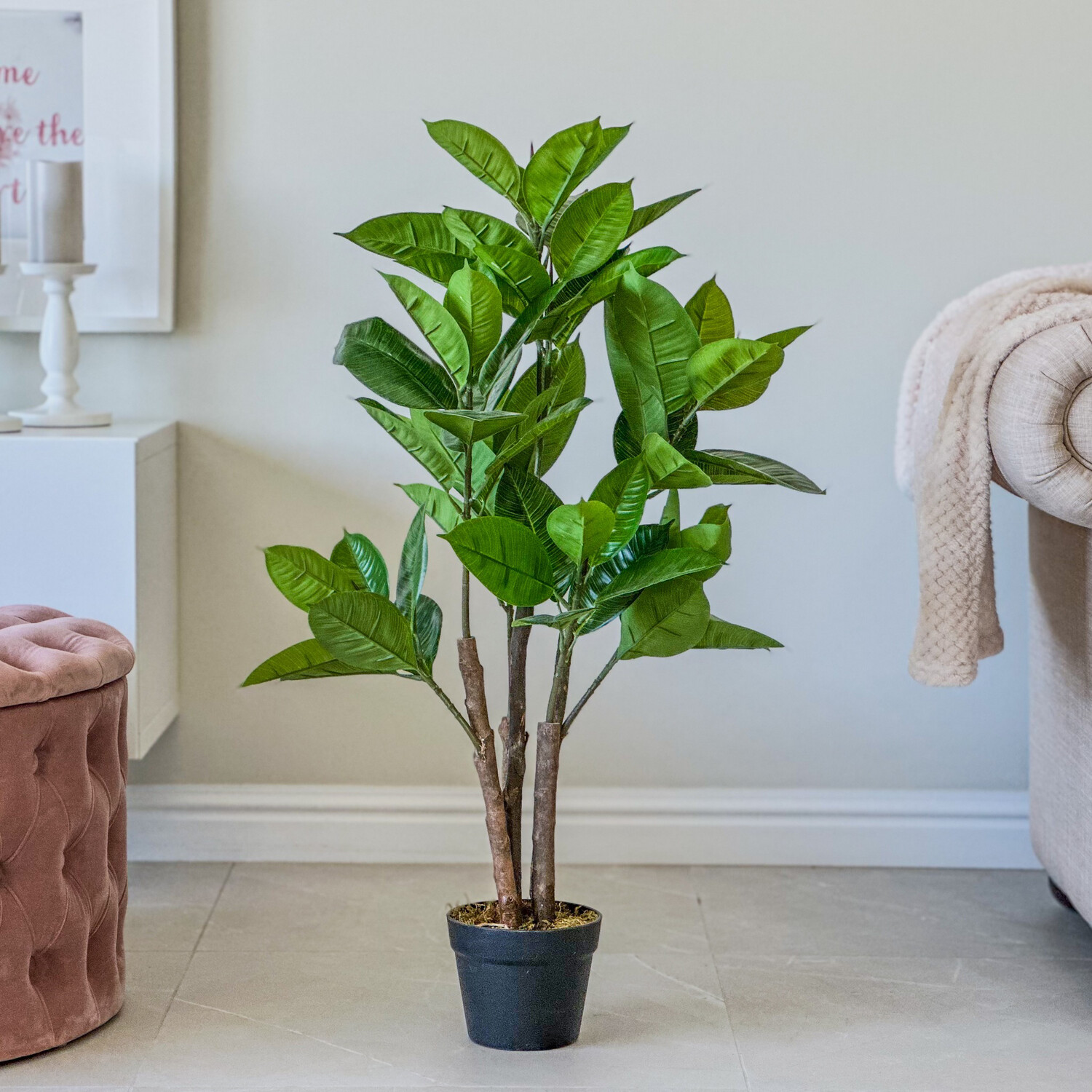 Rubber Plant (Artificial)