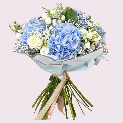 Hydrangea Glamour