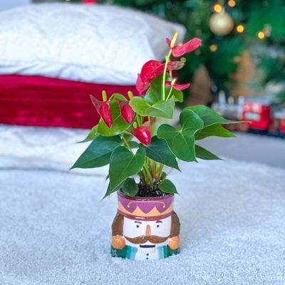 Little Nutcracker Charm