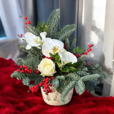 Berry Christmas Orchid