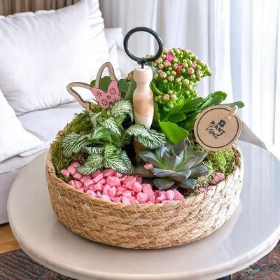 Plant Garden