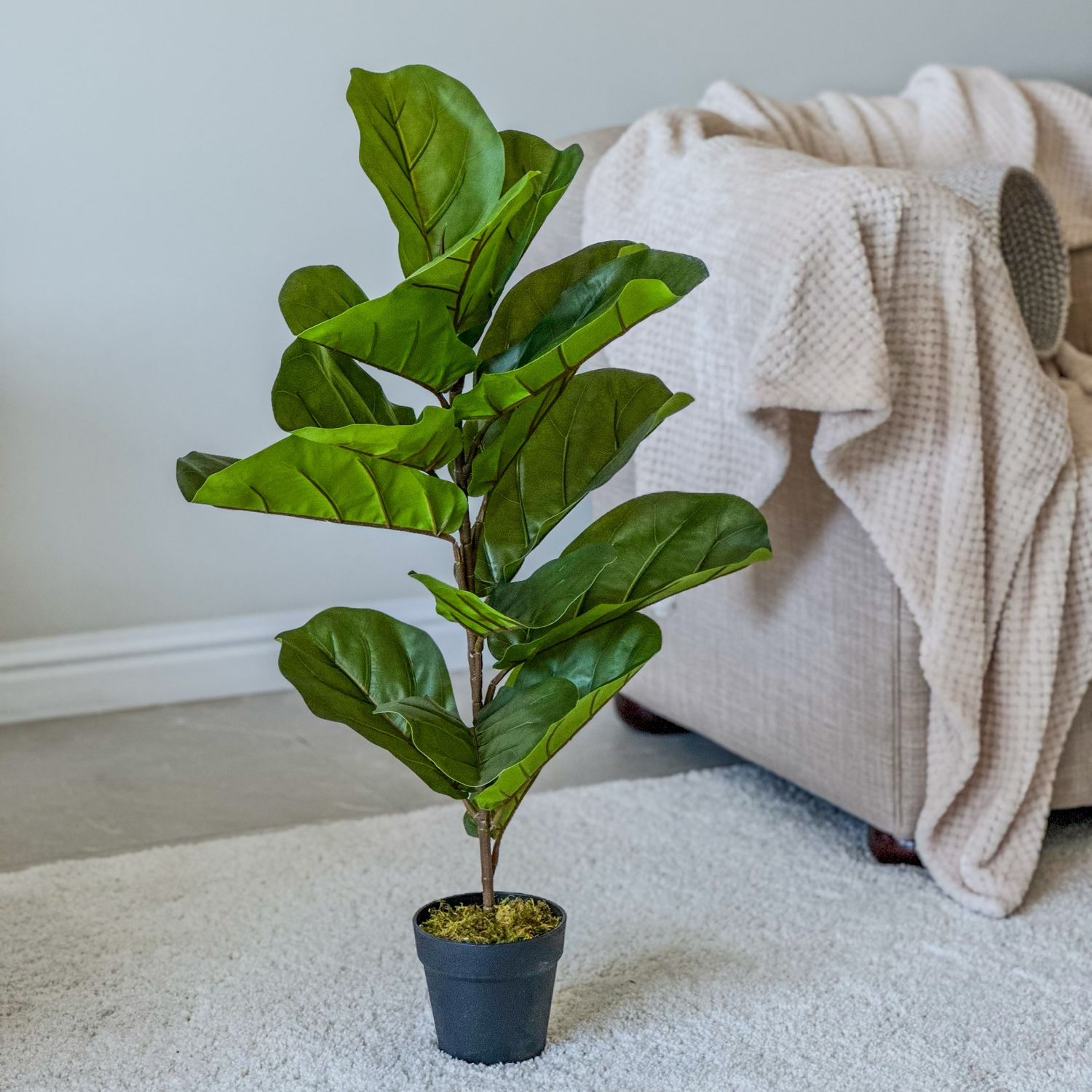 Small Fiddle-leaf Fig (Artificial) Small Fiddle-leaf Fig (Artificial)