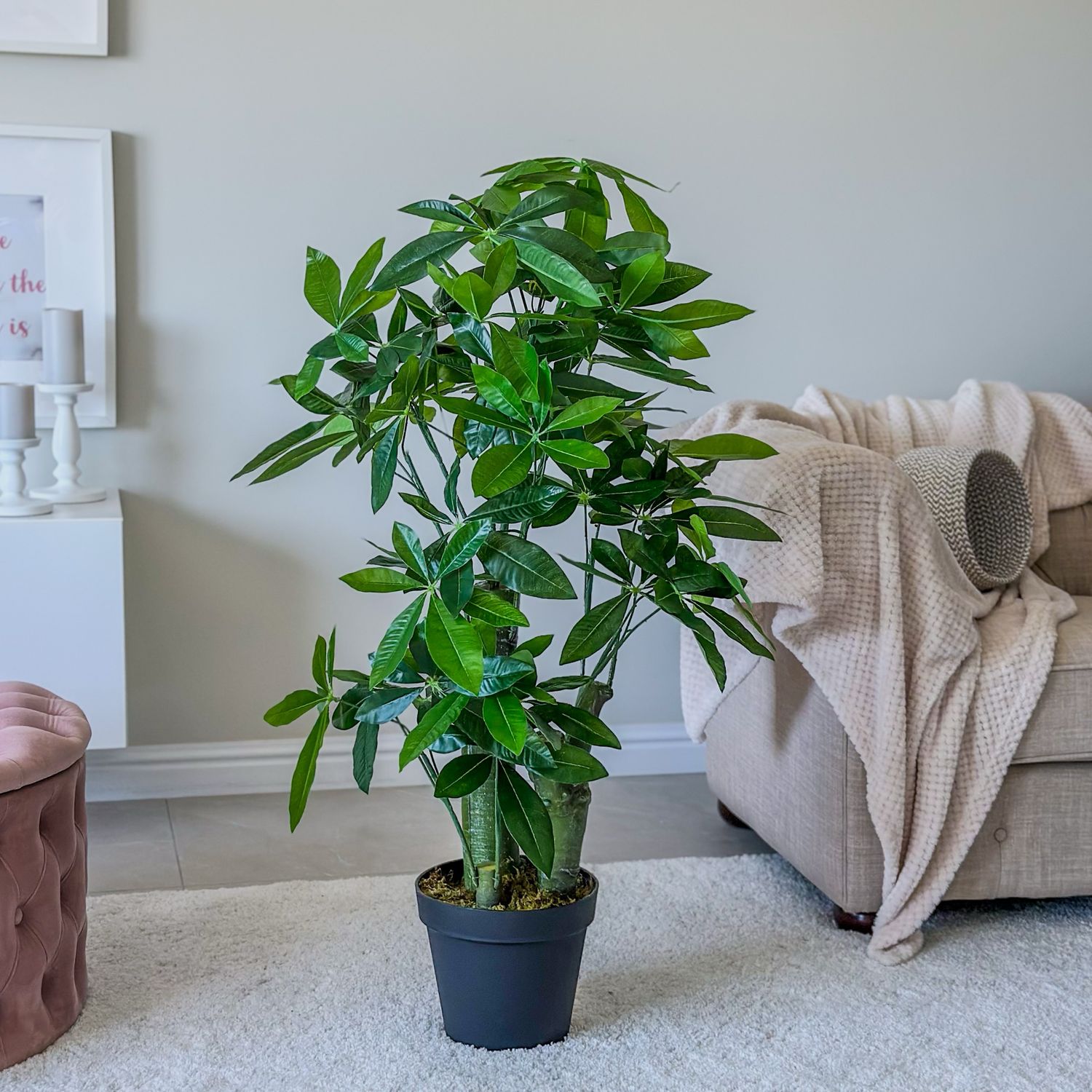 Fortune Plant (Artificial)