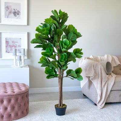Fiddle-leaf Fig (Artificial)