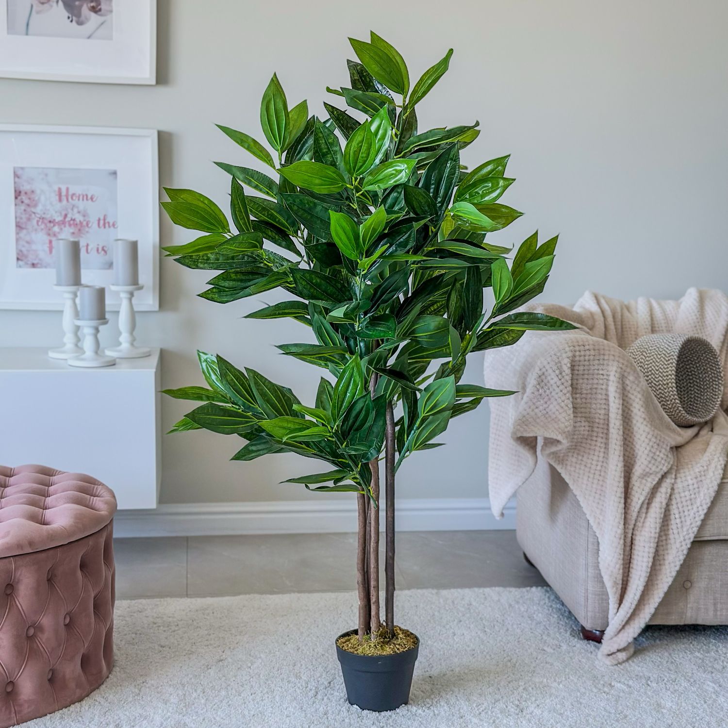Cassia Plant (Artificial)