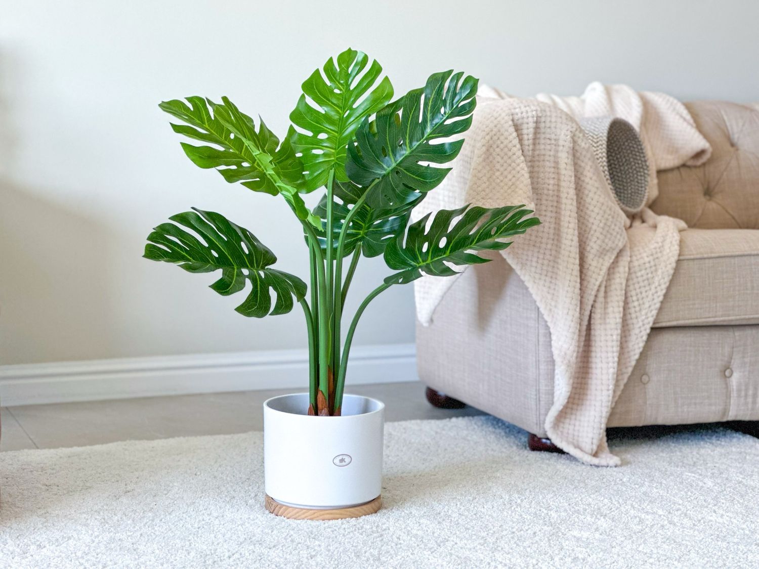 Monstera Deliciosa In Pot (Artificial) Monstera Deliciosa In Pot (Artificial)