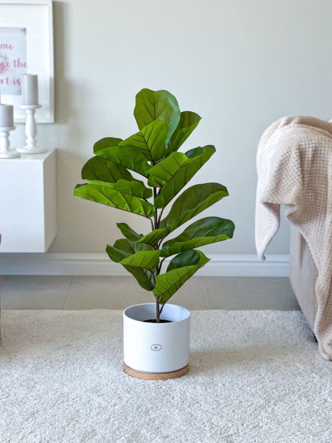 Small Fiddle-leaf Fig In Pot (Artificial) Small Fiddle-leaf Fig In Pot (Artificial)