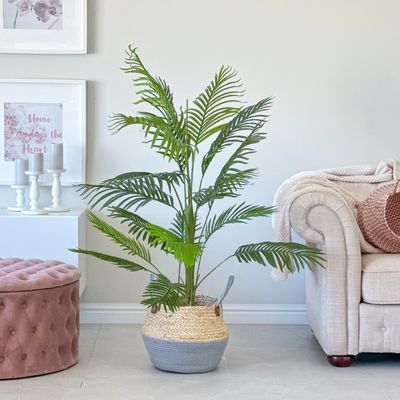 Palm Tree In Basket (Artificial) Palm Tree In Basket (Artificial)