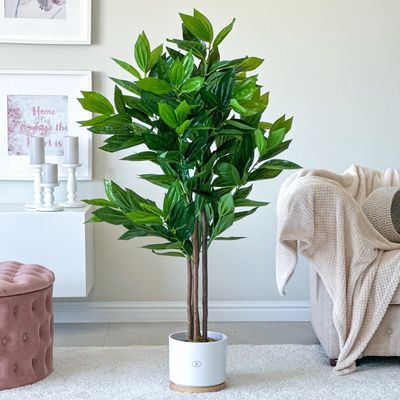 Cassia Plant In Pot (Artificial)
