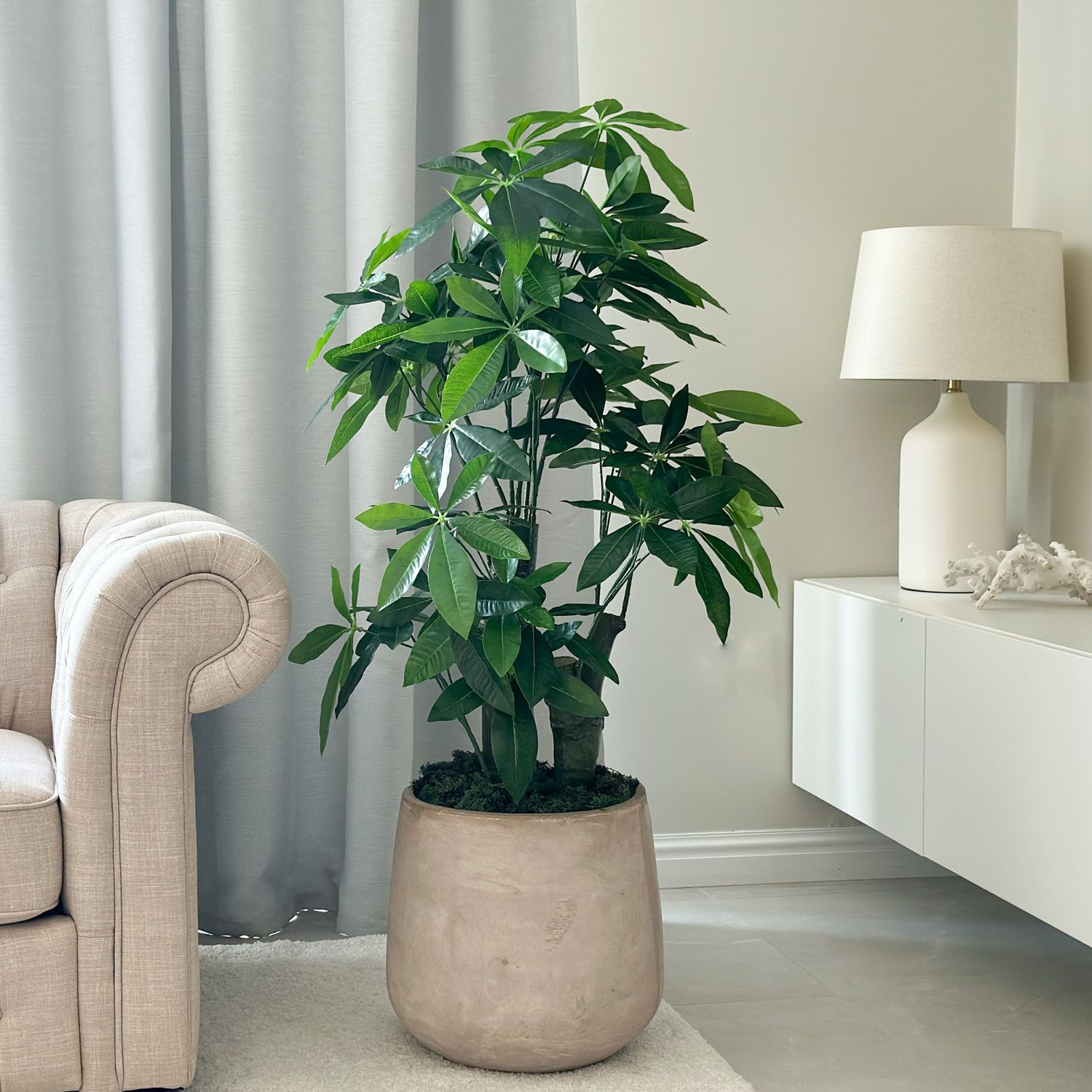 Fortune Plant Standing Tall (Artificial)