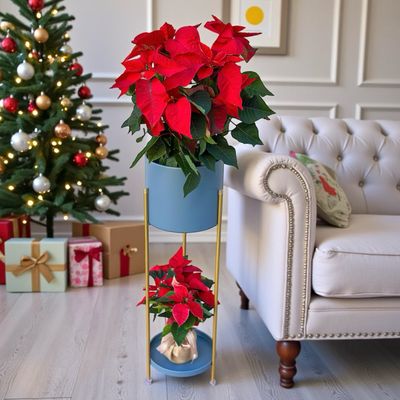 Grand Elegance Poinsettia Tower