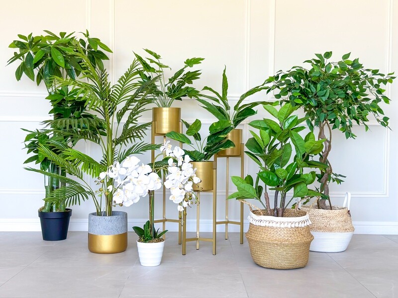 Spring Sale