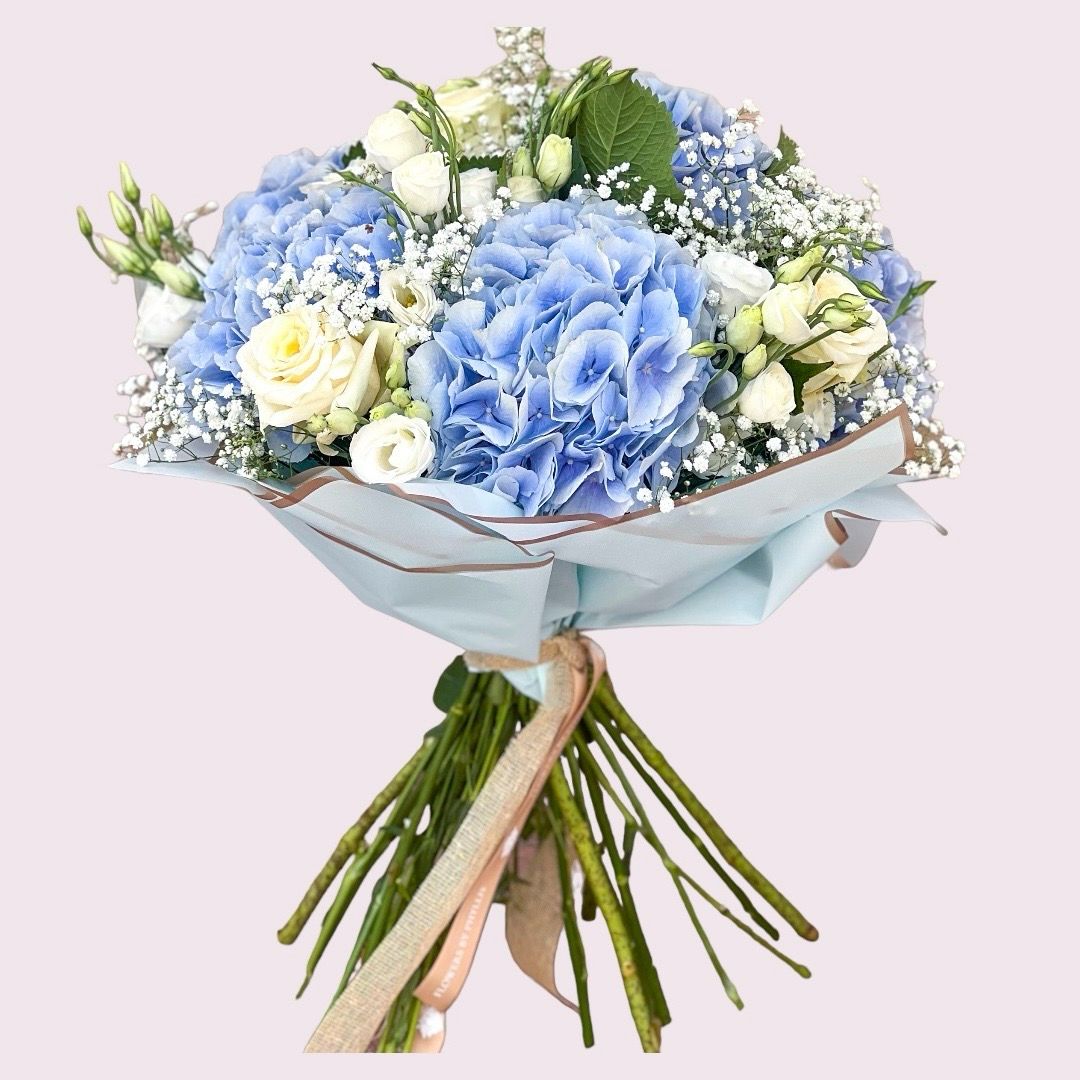 Hydrangea Dream