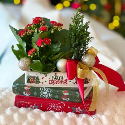 Tales of Christmas Joy