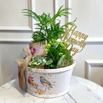 Secret Garden (Women's Day Edition)