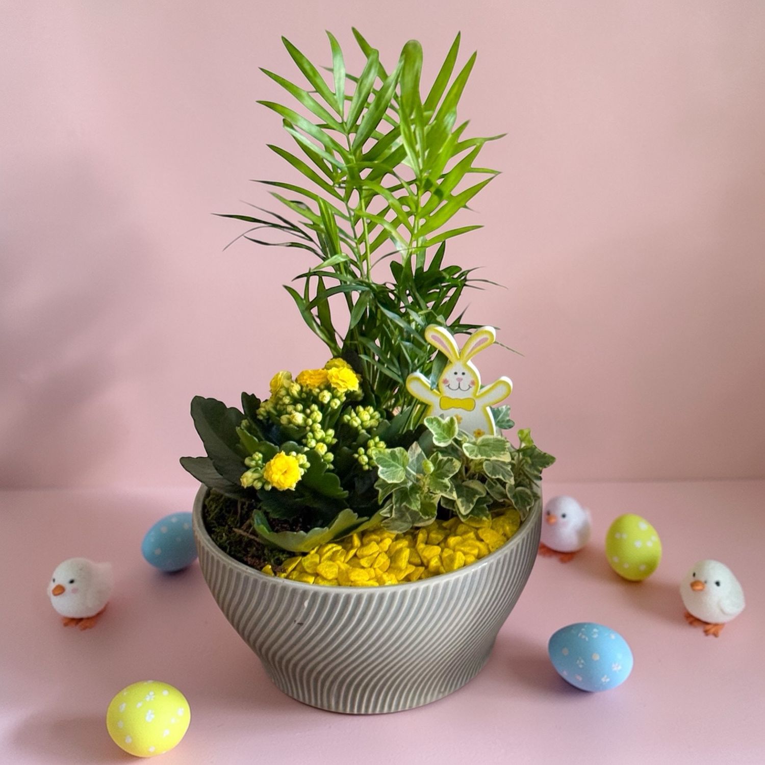 Plant Trio (Easter Edition)