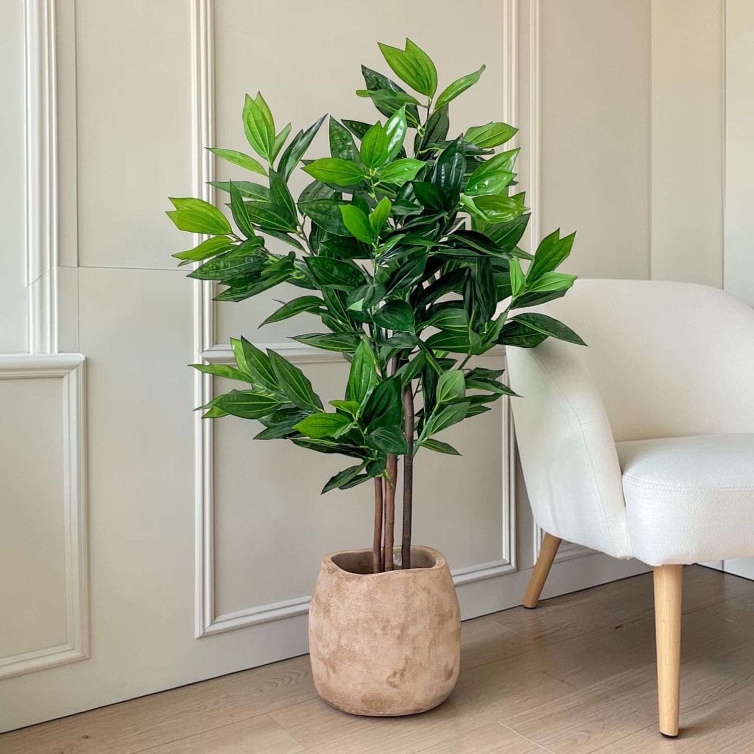 Majestic Cassia Plant (Artificial)