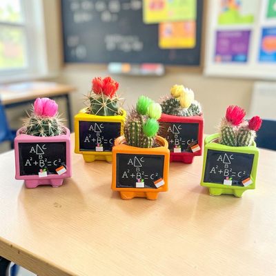 Classroom Cactus