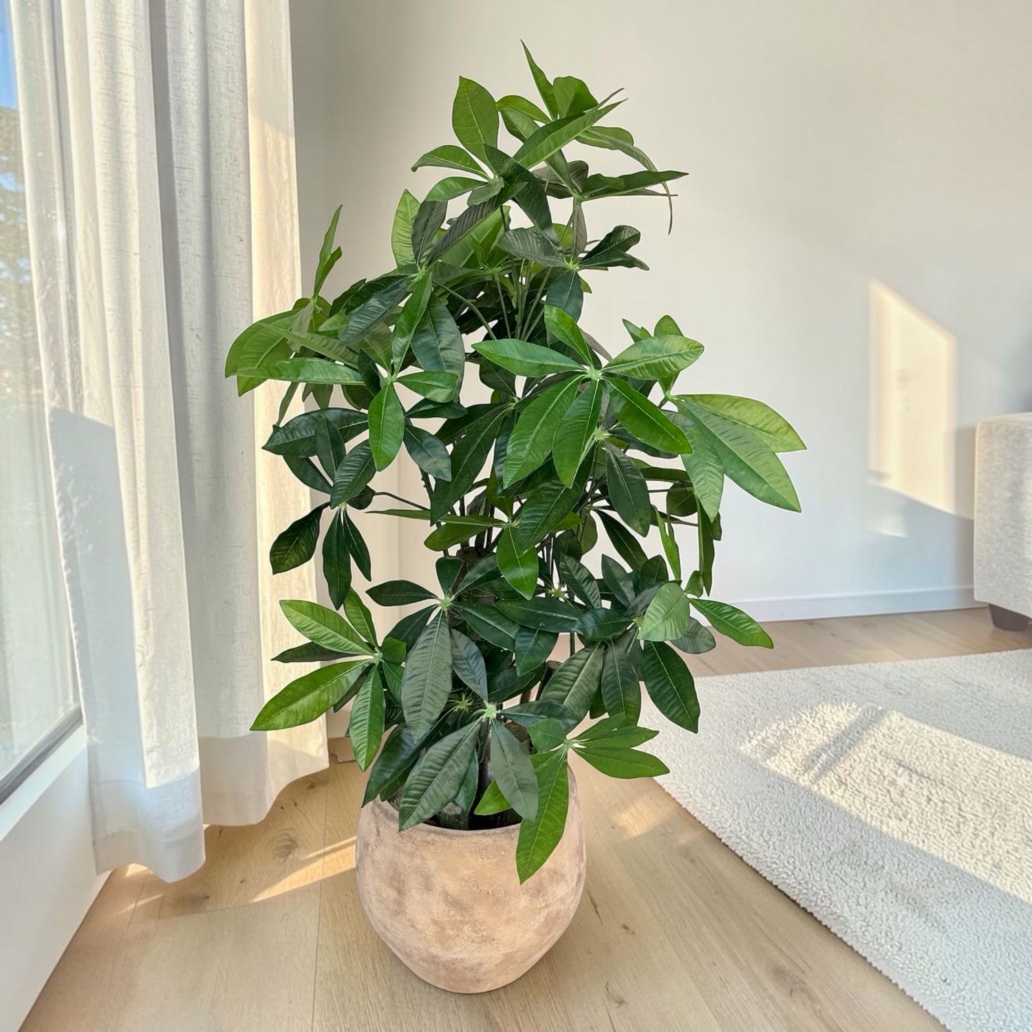 Fortune Plant Standing Tall (Artificial)