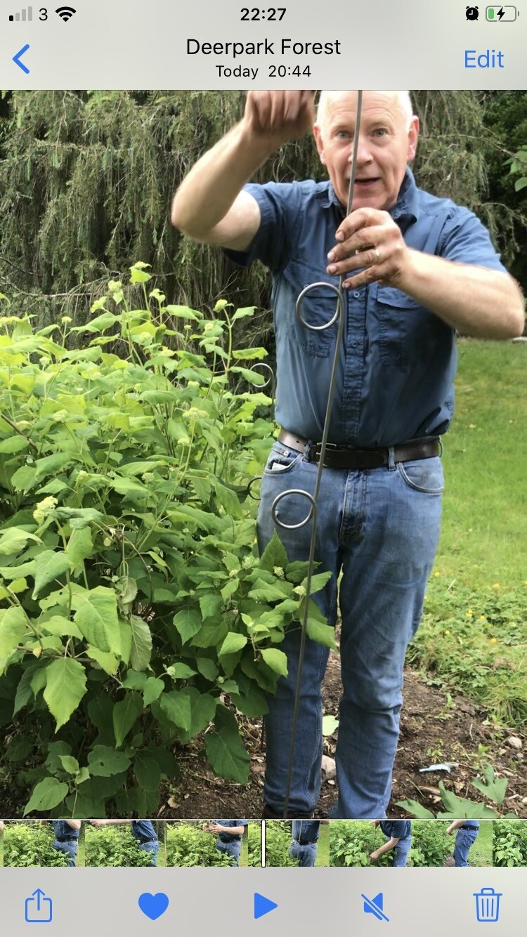 1x. 3 RING “PIGS TAIL” FLOPPIE for Plant Support! See Video On Instagram