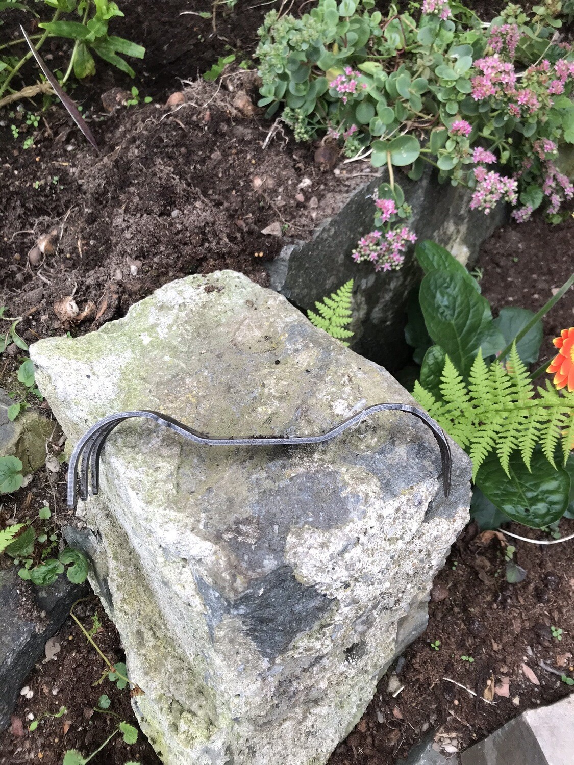 GARDEN NINJA ..handy Pocket tool for Weeding and light cultivation ! ALL IRELAND DELIVERY