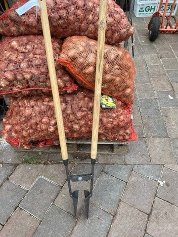 Two Handled Bulb Planter