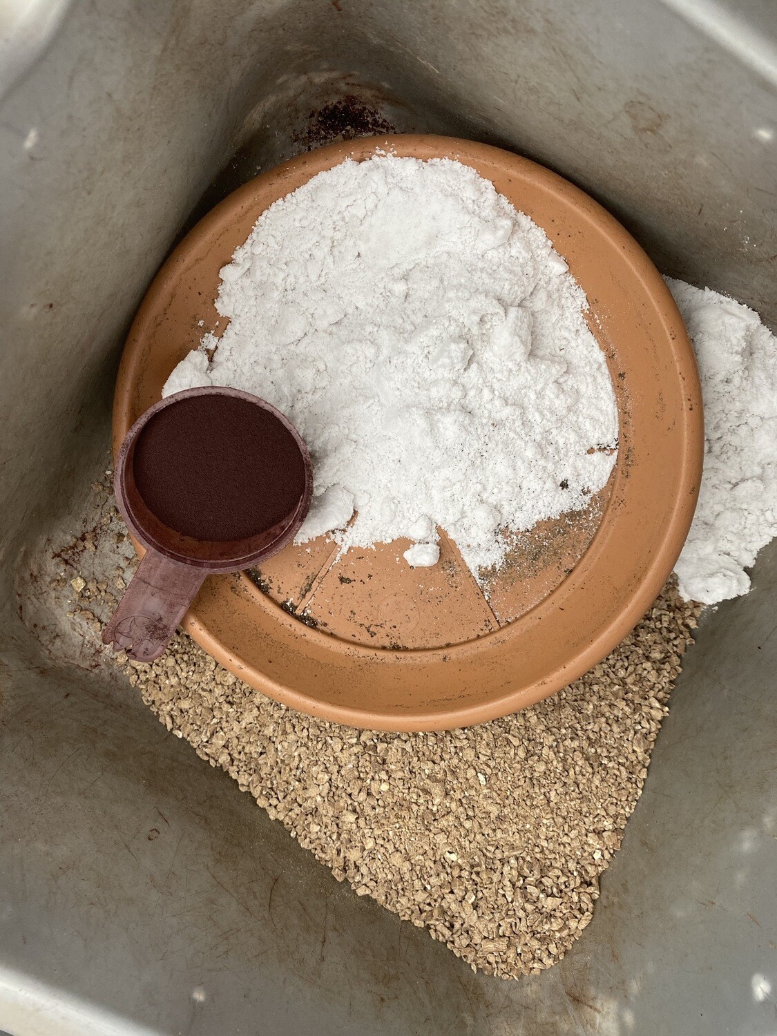 High IRON Fertiliser formula (2 Litres) Dry fertiliser,apply every 4-6 Weeks for best results