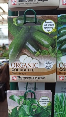 Organic - Courgette Black Beauty