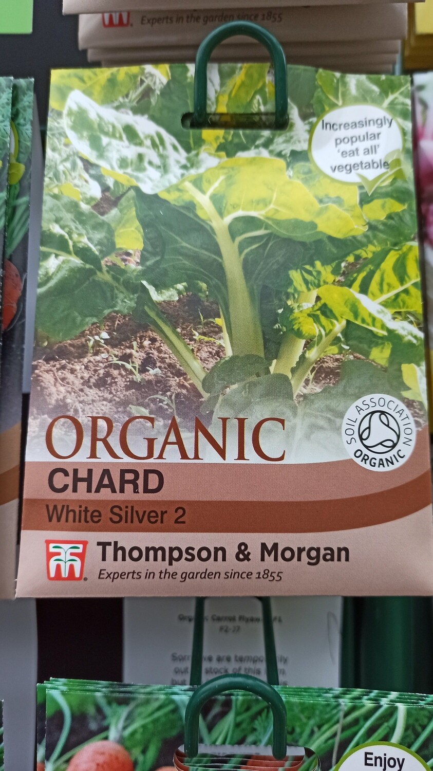 Organic - Chard White Silver 2