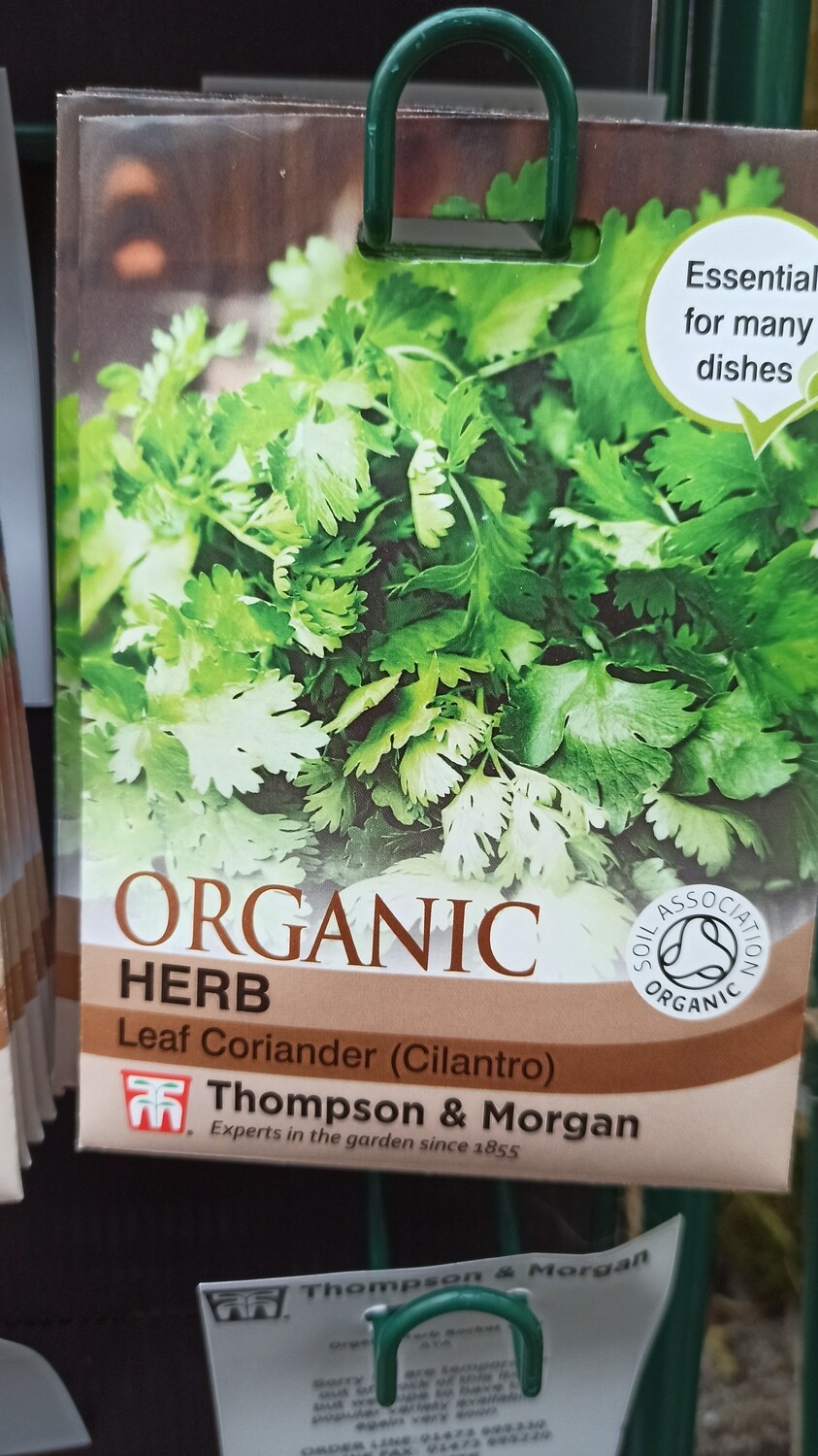Organic - Herb Leaf Coriander (Cilantro)