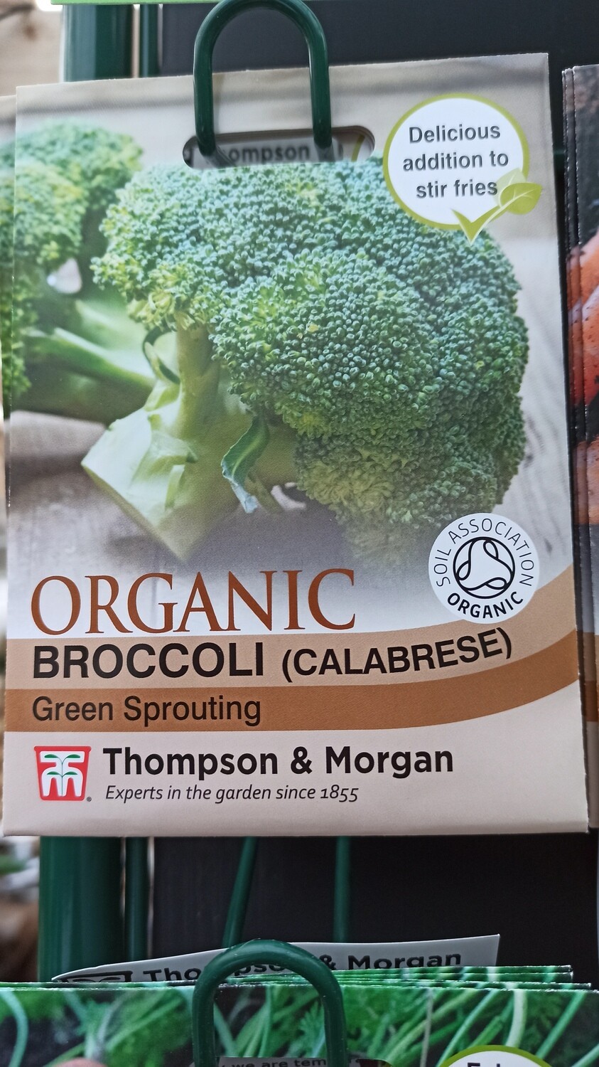 Organic- Broccoli (Calabrese)
