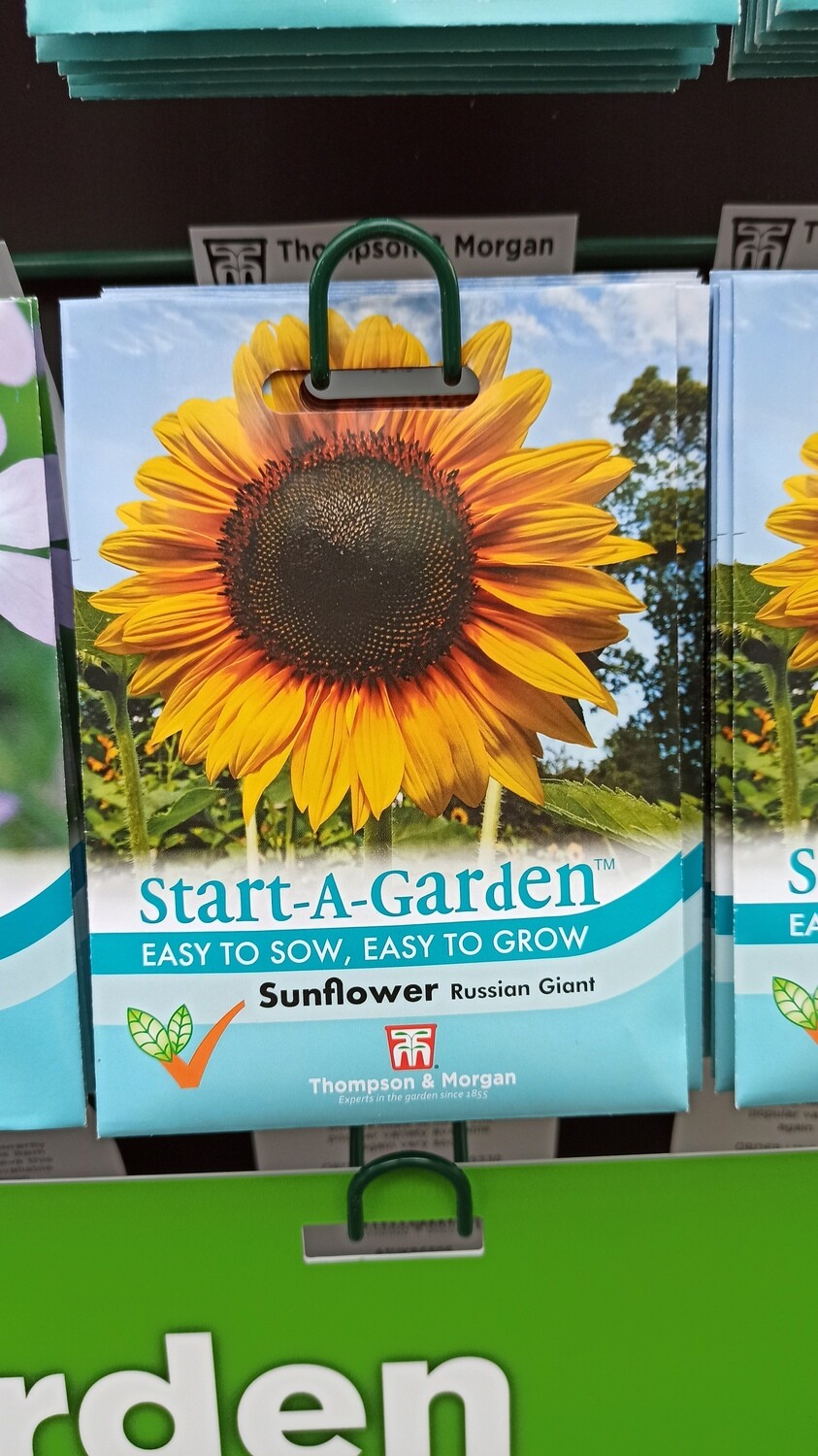 Start a Garden - Sunflower Russian Giant
