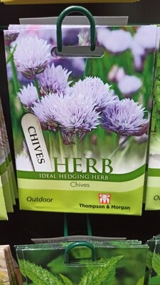 Herb - Chives