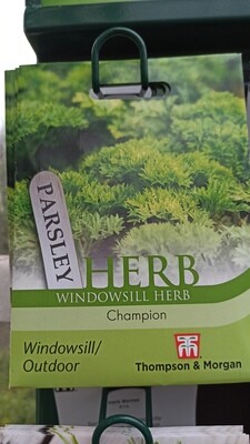 Herb - Parsley Champion