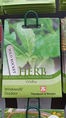 Herb - Wild Rocket Wildfire