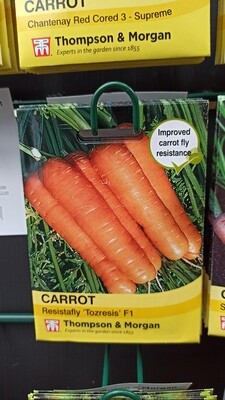 Carrot Resistalfly 'Tozresis' F1