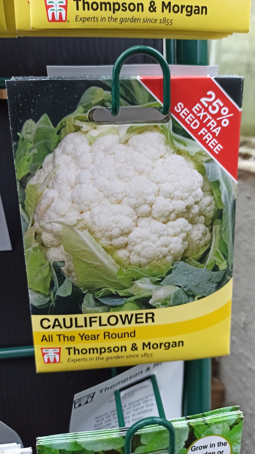 Cauliflower All the Year Round