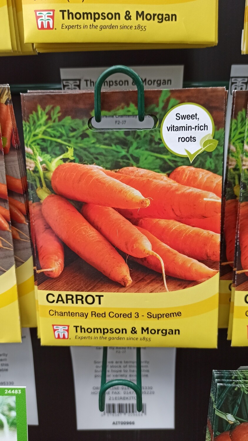 Carrot Chantenay Red Cored 3 - Supreme