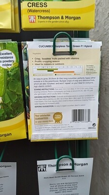 Cucumber Burpless Tasty Green